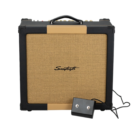 ST-AMP-20TC (with Pedal).png