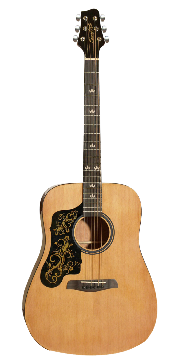 Left Handed Natural w/Custom Graphic