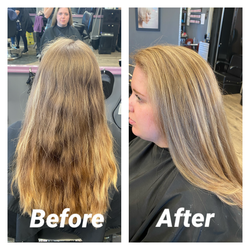 Proper Cuts Hair  Salon