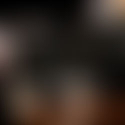 ¿Se intoxicó tu gato?