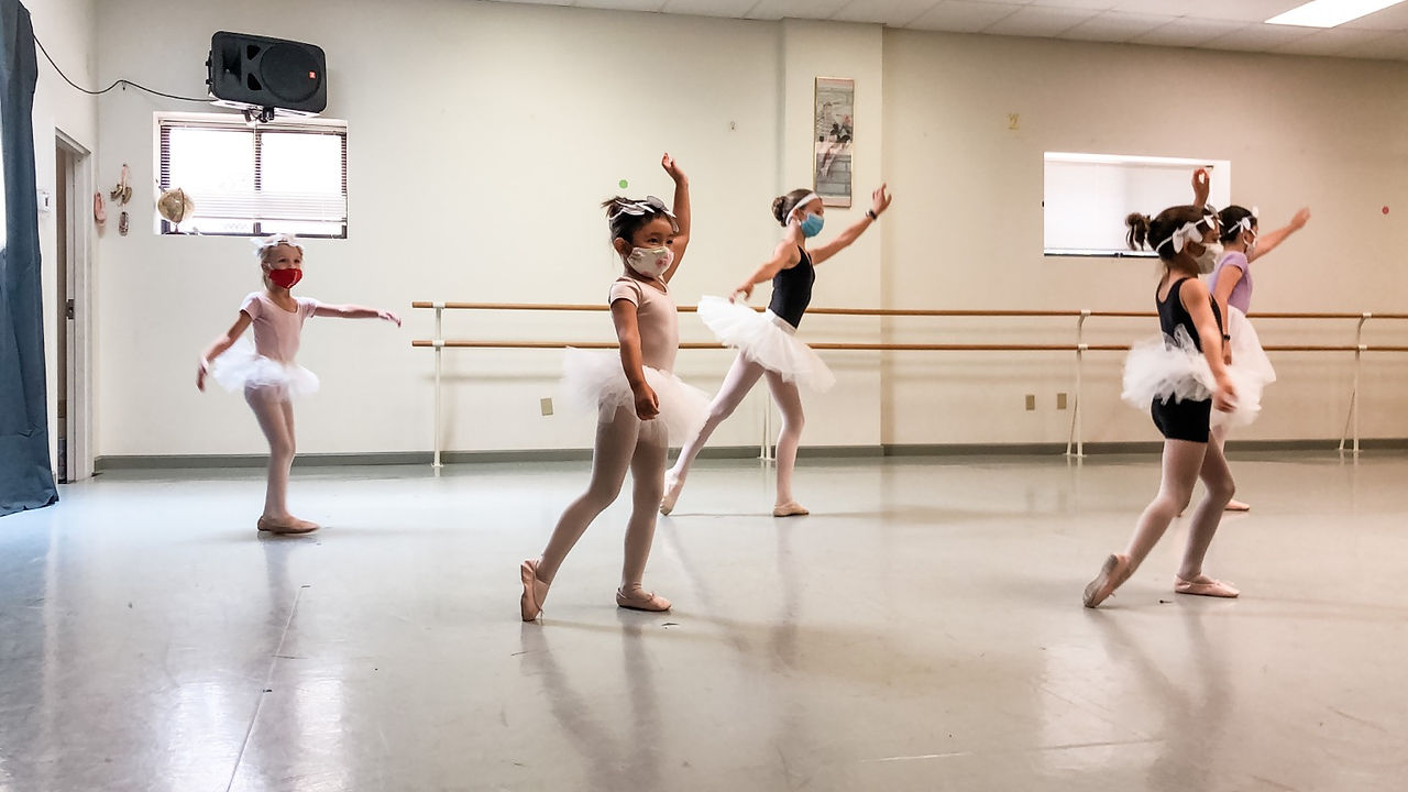 Costumes for Swan Lake Ballet Camp at Ballet School of Charlottesville