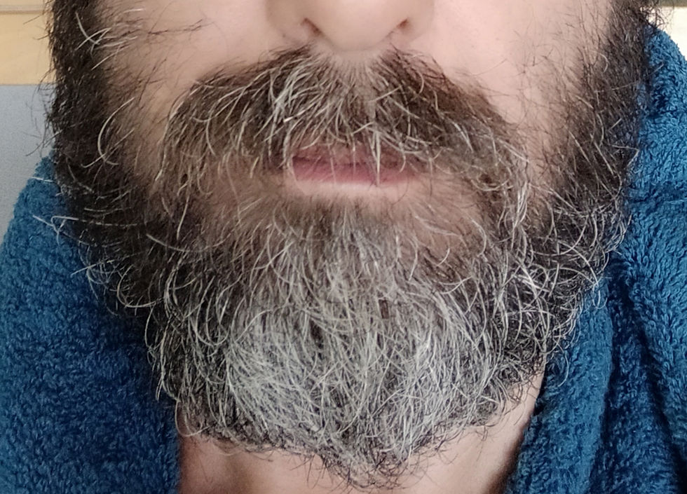 CONCLUSIONES PRECIPITADAS. ¿Qué quieres ser de mayor?