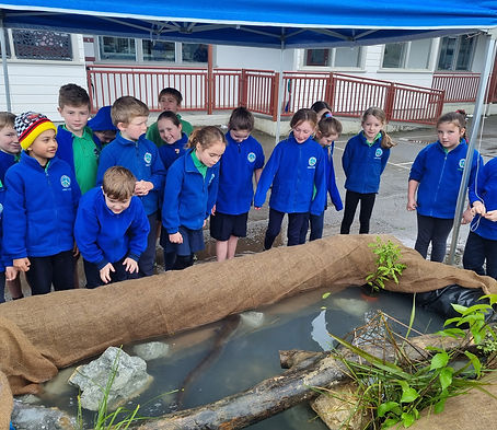 Primary school students learning about stream ecology and habitat protection