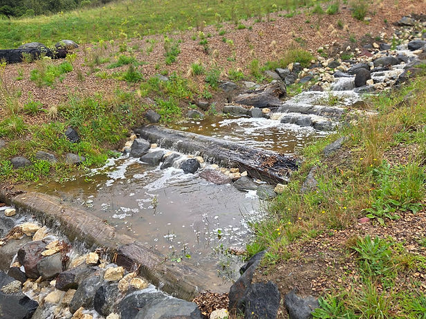 stream diversions done with log weirs