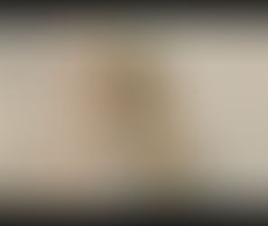 Lalat Pembunuh (Robber Fly)