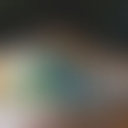 Silvia Taylor: Interconnecting Form, Function and Aesthetics