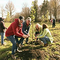 team event to plant trees .jpg