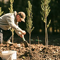 planting trees.jpg