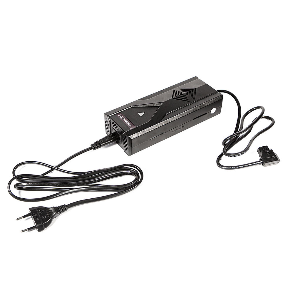 Thumbnail: SOONWELL DC-BQ Quick Charger For Li-ion Batteries