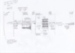 Scan 5.jpeg