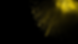 Services (2).png