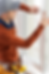 Home Improvement.png