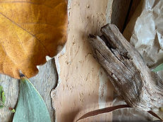 Natural Colour Palette.jpg