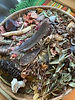 982deed4-e767-4798-be06-e70803088853.jpeg