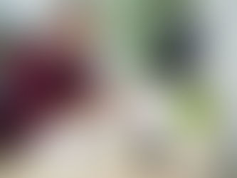 Do not be fooled by “no receipts required” tax deductions