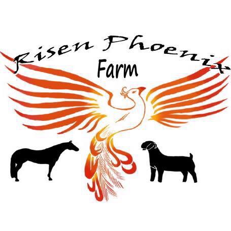 Writer: Risen Phoenix Farm Admin 