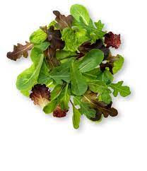 Spring Mix Organic 3lb