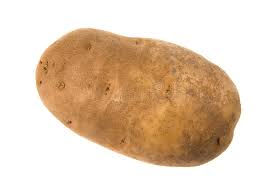 Potatoe russet 