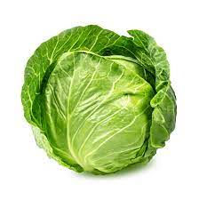 Cabbage Green 