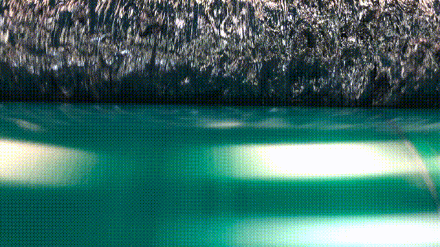 IMG_1723_large.gif