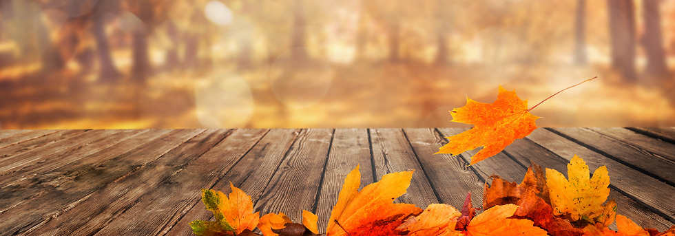 FALL TERM Promo- Email Signature & Banner Design 1.png