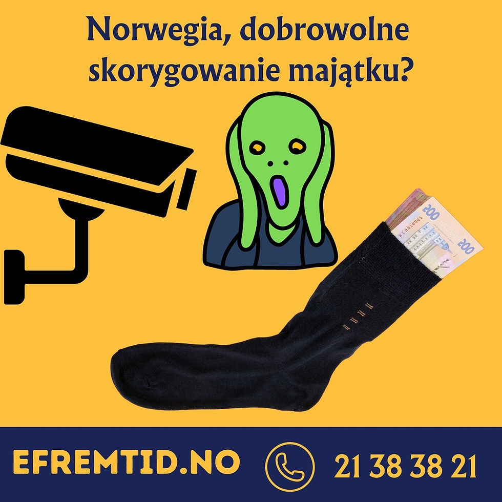 Dobrowolne Skorygowanie majatku.