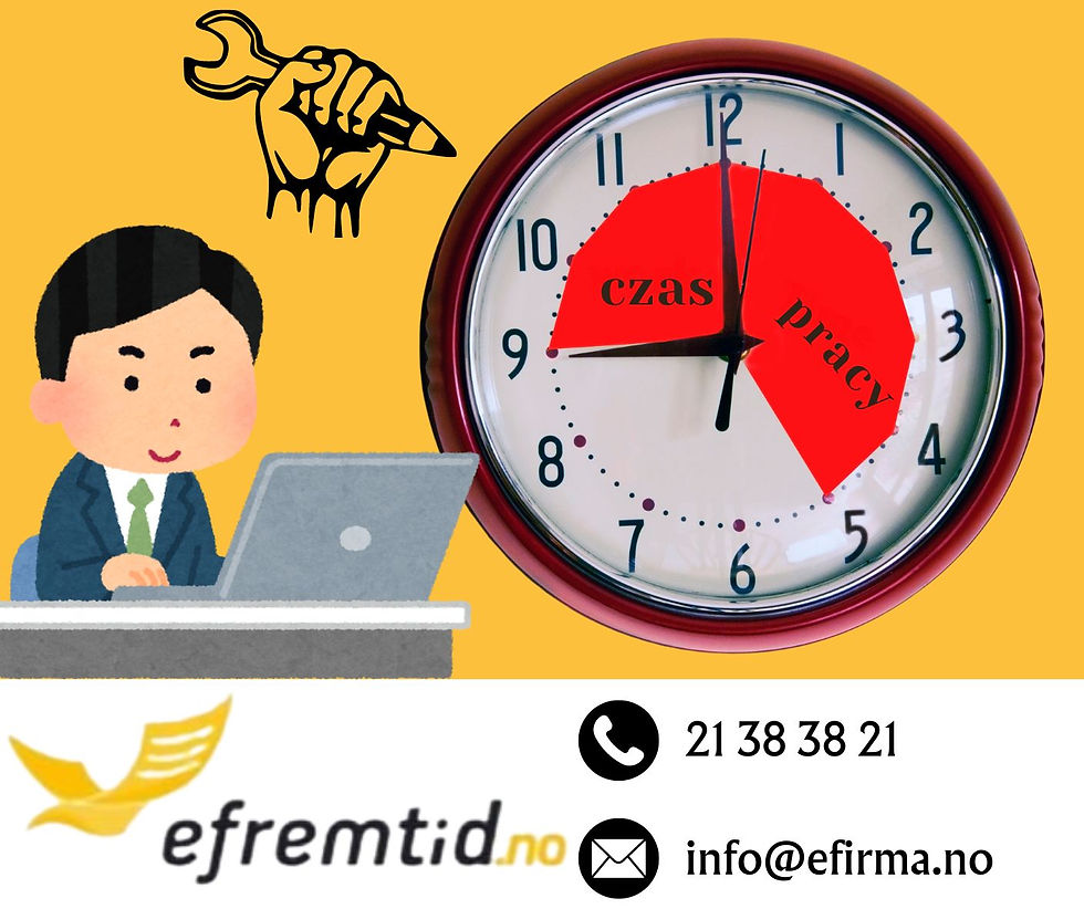 Efremtid.no 21 38 38 21