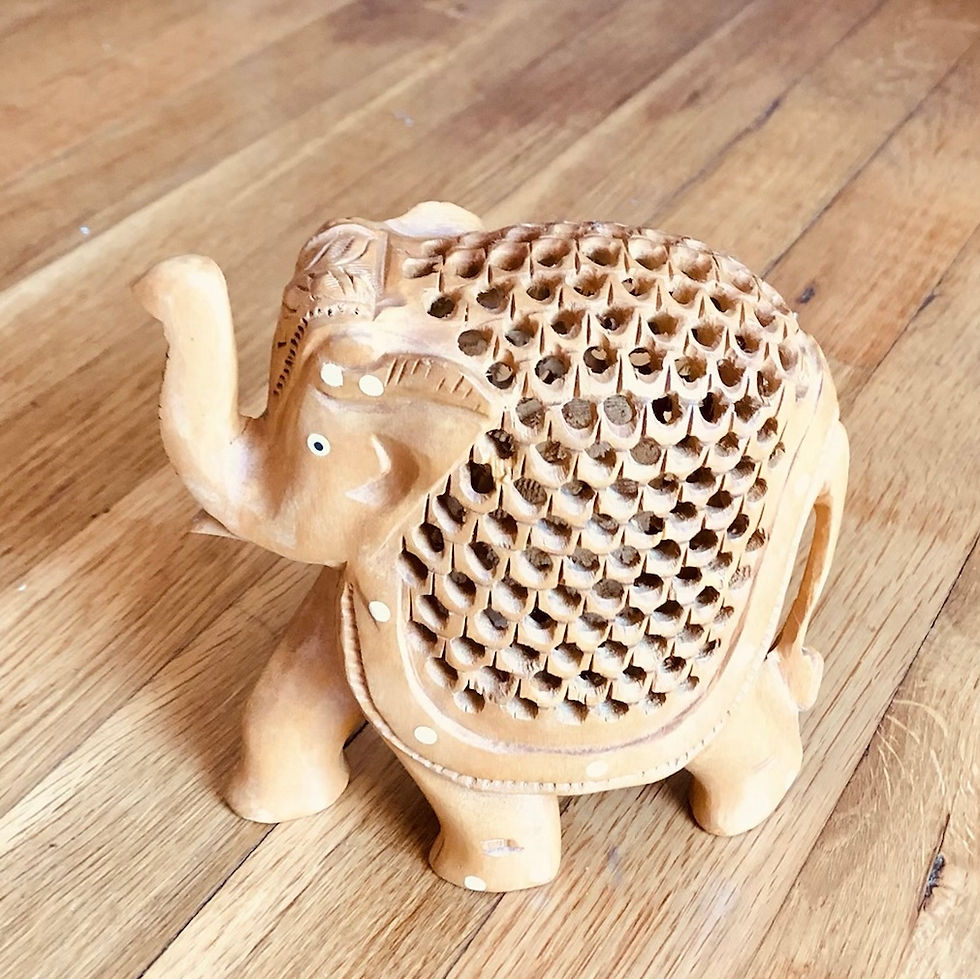Thumbnail: Baby elephant in the mother’s womb. Is good luck 