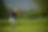 AdobeStock_641305828.jpeg