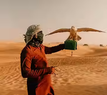Desert safari dubai 