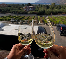 Wine tasting crete