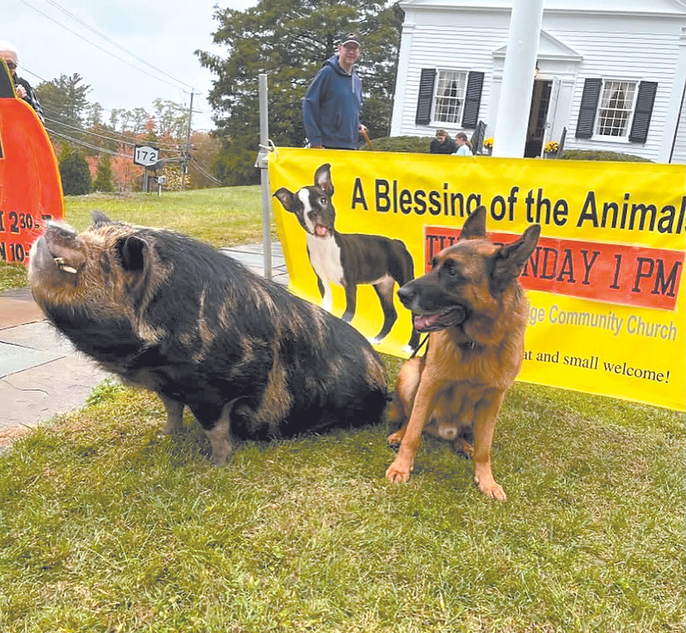 Blessed beasts