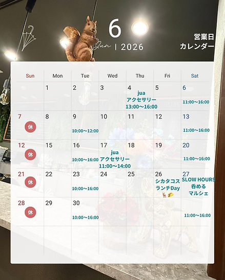 line_oa_chat_260609_172628.jpg