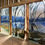 Thumbnail: Watershed: Historic Alexandria, Jones Point Pathways