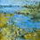 Thumbnail: Wetlands Trail