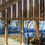 Thumbnail: Watershed: Historic Alexandria, Jones Point Pathways