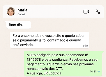 Conversa sobre encomenda e pagamento.png