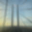 IMG_2929.jpeg