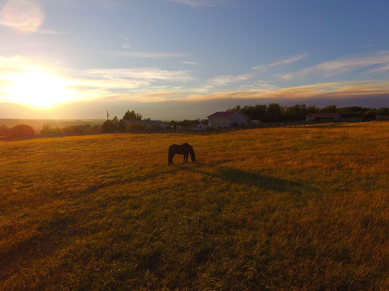 DJI_0149.JPG