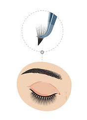 mega volume lashes