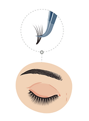 Russian volume lashes