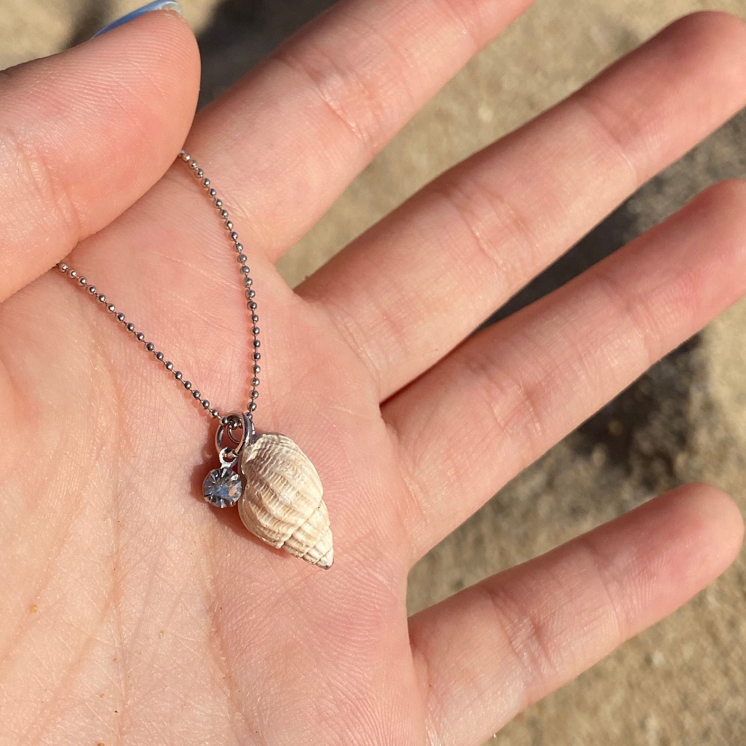 Ribbed Cantharus Necklace