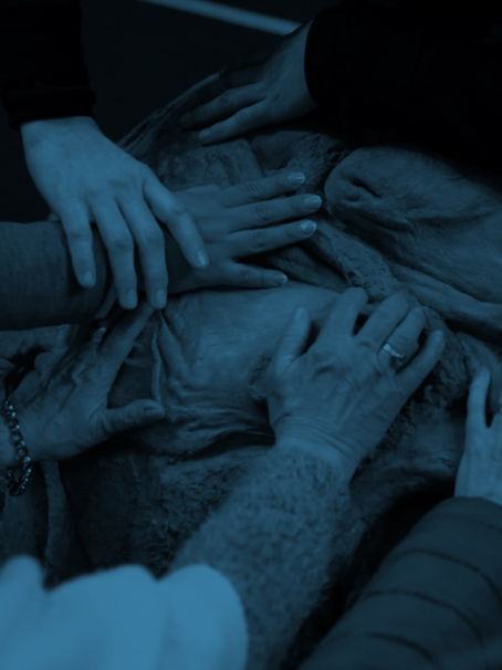 Tocar para ver: visita táctil de Medea Meditativa