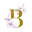 Writer: Besholem Birth