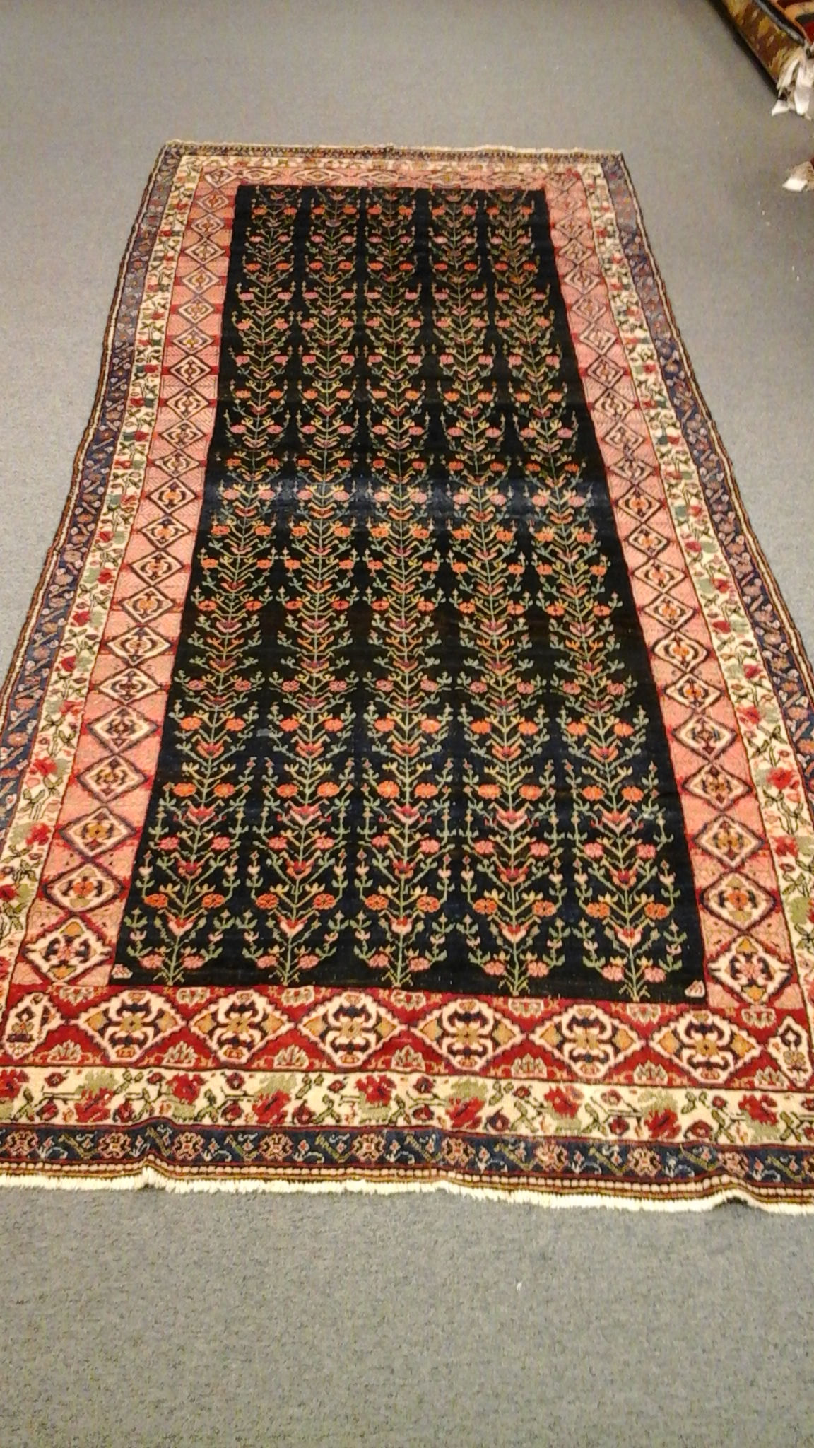 Bakhtiari 6' X 13'10"