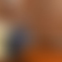 La Cérémonie d'échanges de Vœux avec le Corps Diplomatique accrédité en RDC au Palais de la Nation