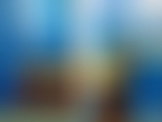 Compte rendu d ' état de siège et son bilan rendu publiquement par le gouvernement