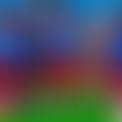 Barrages Mondial 2022 : Les léopards ont un soutien total de la part de supporters de Kinshasa