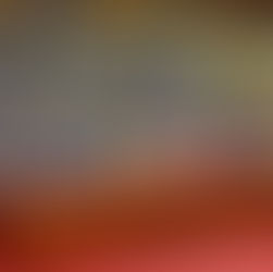 A.N : La conférence des présidents met un focus sur la.modification du règlement intérieur