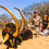 Thumbnail: 2027 South Africa Waitlist 